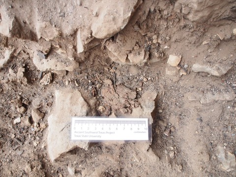 arukemaya538