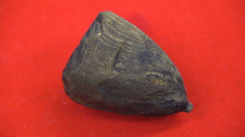 arukemaya972