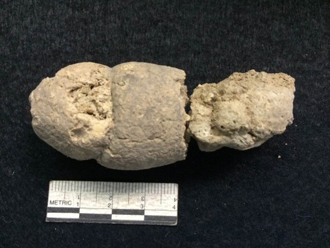 arukemaya536