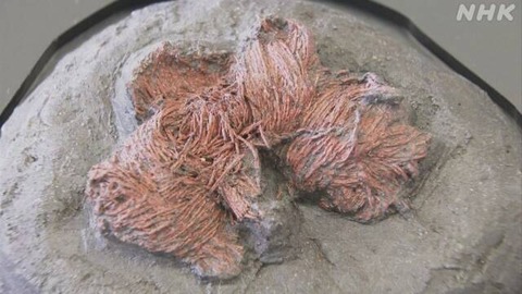 9F74FAC3-29F1-43C4-8544-A7B8E2451D31