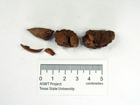 arukemaya543