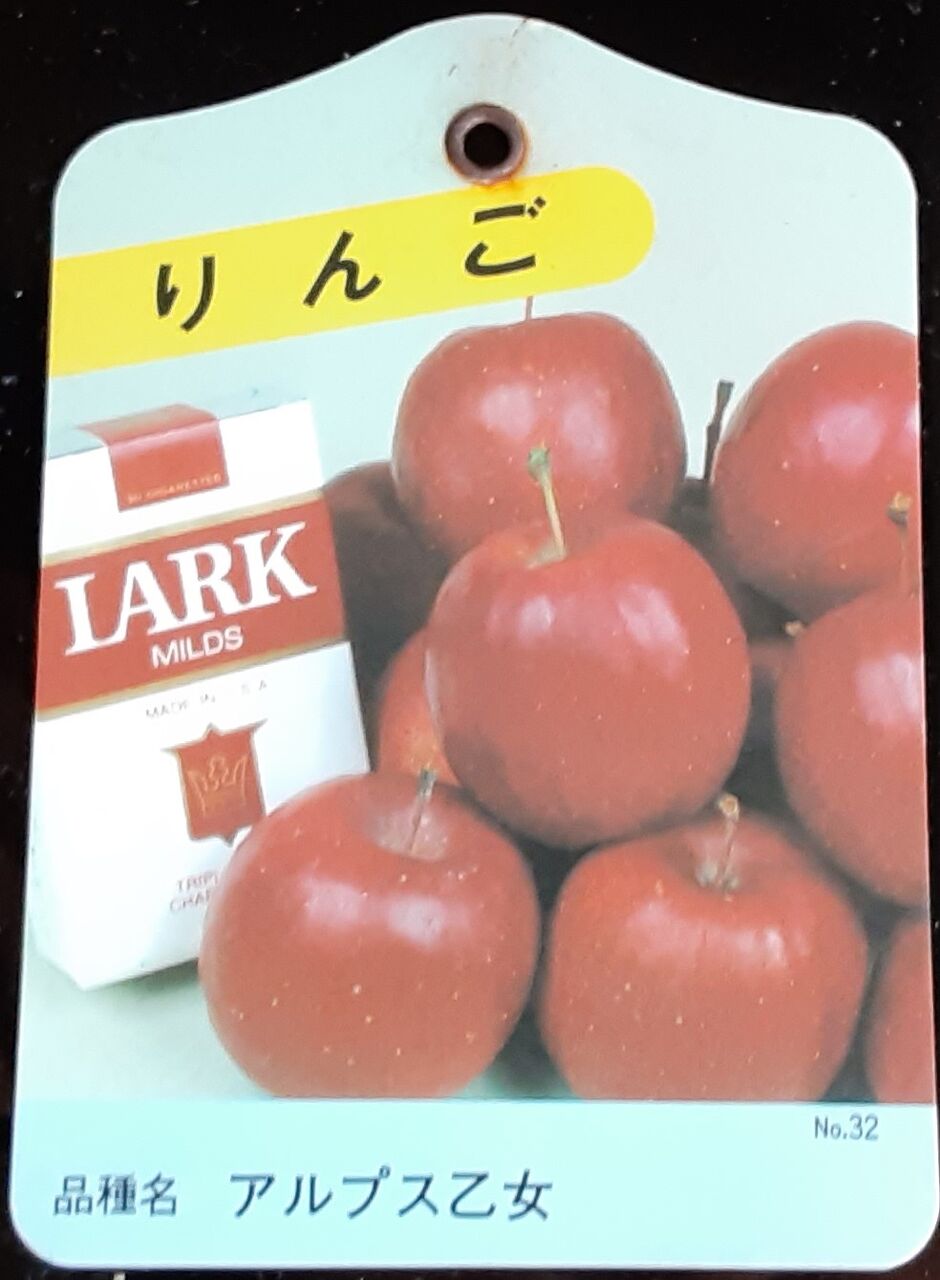 アルプス乙女 歩木芽出素の独り言のブログ