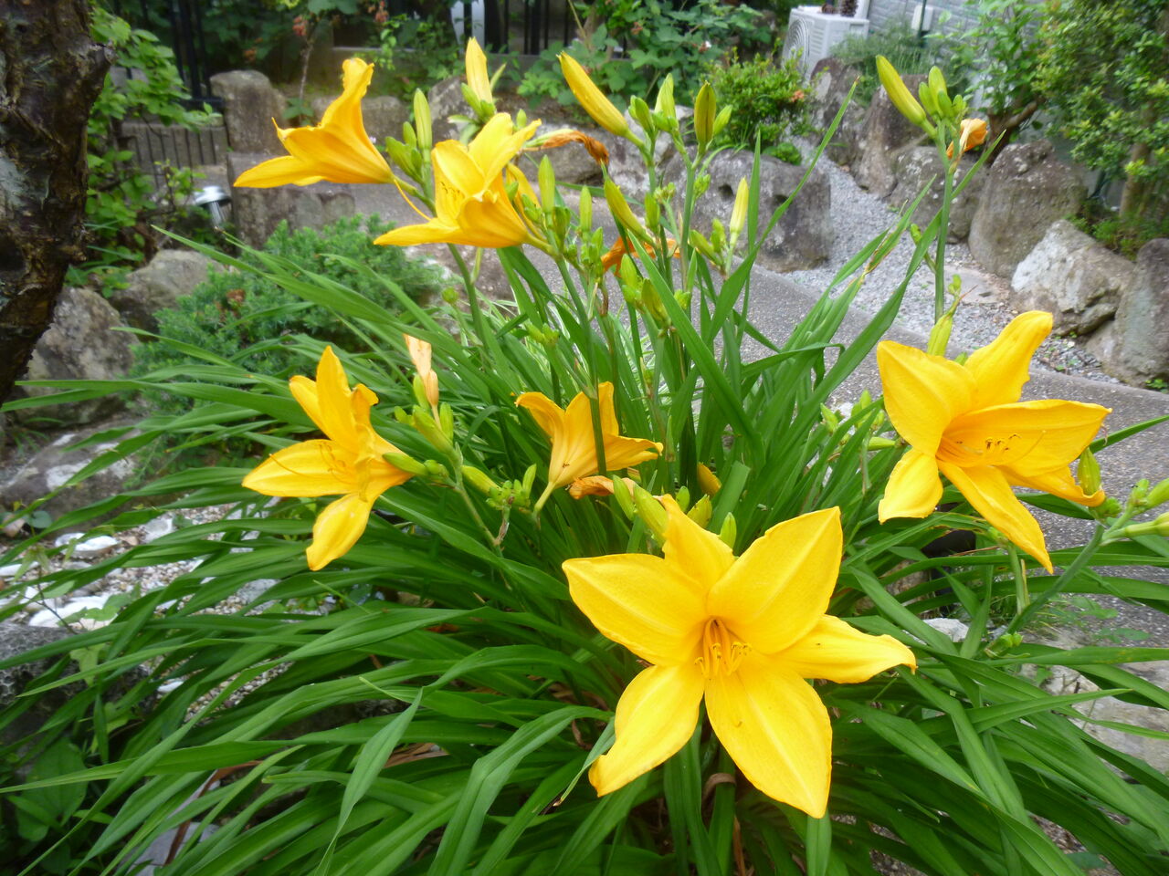 歩木芽出素の独り言のブログ                歩木芽出素の独り言...