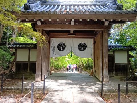 天神O