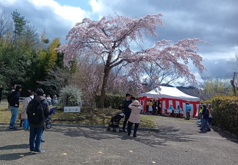 青山城D２