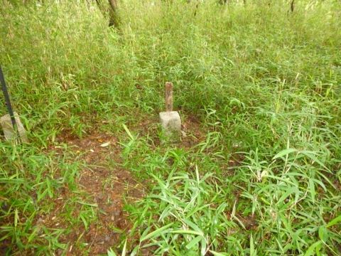 振野・妙見Ｇ (480x360)