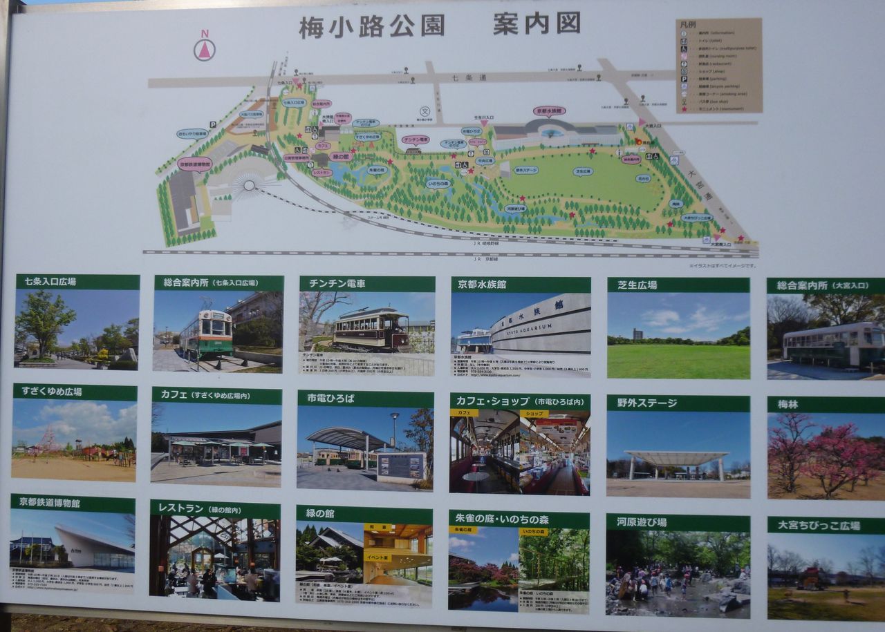 京都水族館 メダカの学校6 歩木芽出素の独り言のブログ 京都水族館 メダカの学校6 歩木芽出素の独り言のブログ