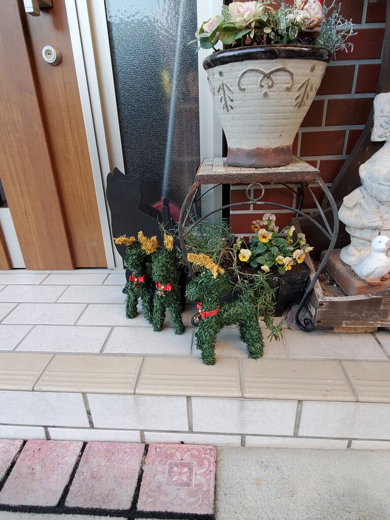 風邪引きました(>o