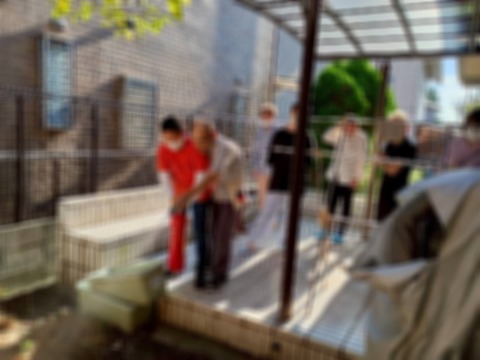 Point Blur_20251017_165110