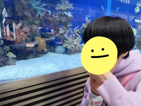 23-04-14-15-57-44-051_deco