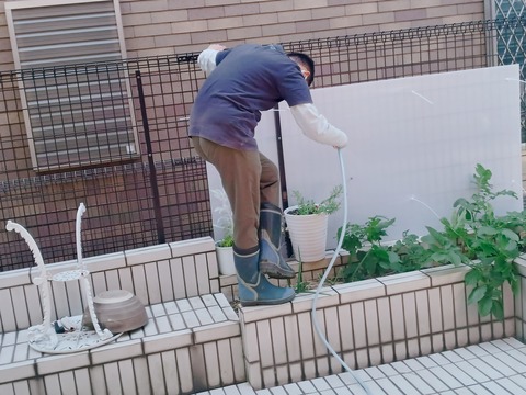 23-05-24-15-57-05-702_deco