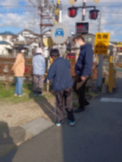 Point Blur_20241108_155557