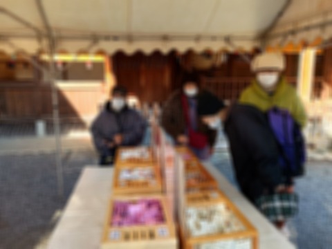 Point Blur_20250106_164729