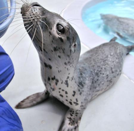 ある人間 Sssp Img 2ch Sc Ico Anime Kuma01 Gif ある人間の人生を編成する一連の出来事