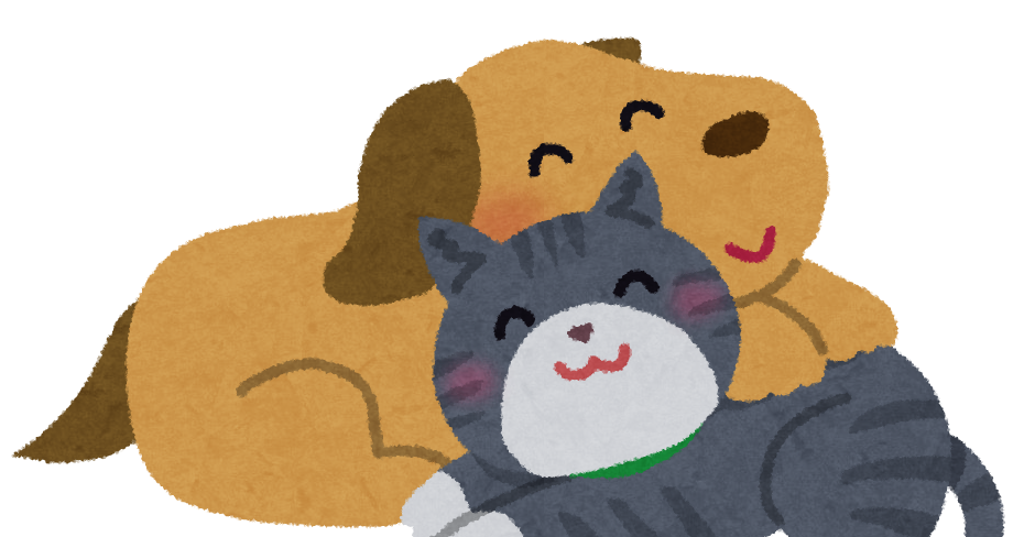 芸能 福山雅治の 保護猫 飼育に称賛殺到 殺処分ゼロ活動の応援をしていきたい アルパカのなるほど生活 芸能 福山雅治の 保護猫 飼育に称賛殺到 殺処分ゼロ活動の応援をしていきたい アルパカのなるほど生活