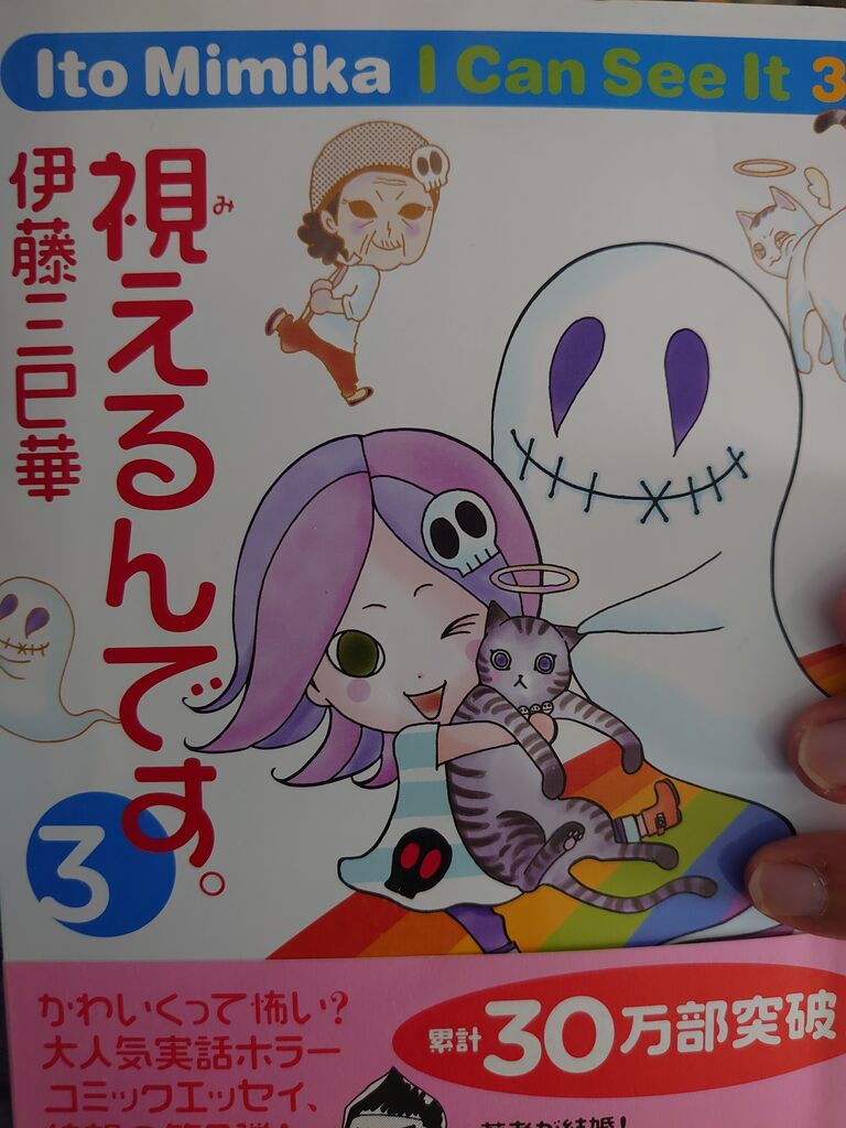 視えるんですを購入しました 迷子猫見つけたい 隊 アムロ捜索 視えるんですを購入しました 迷子猫見つけたい 隊 アムロ捜索