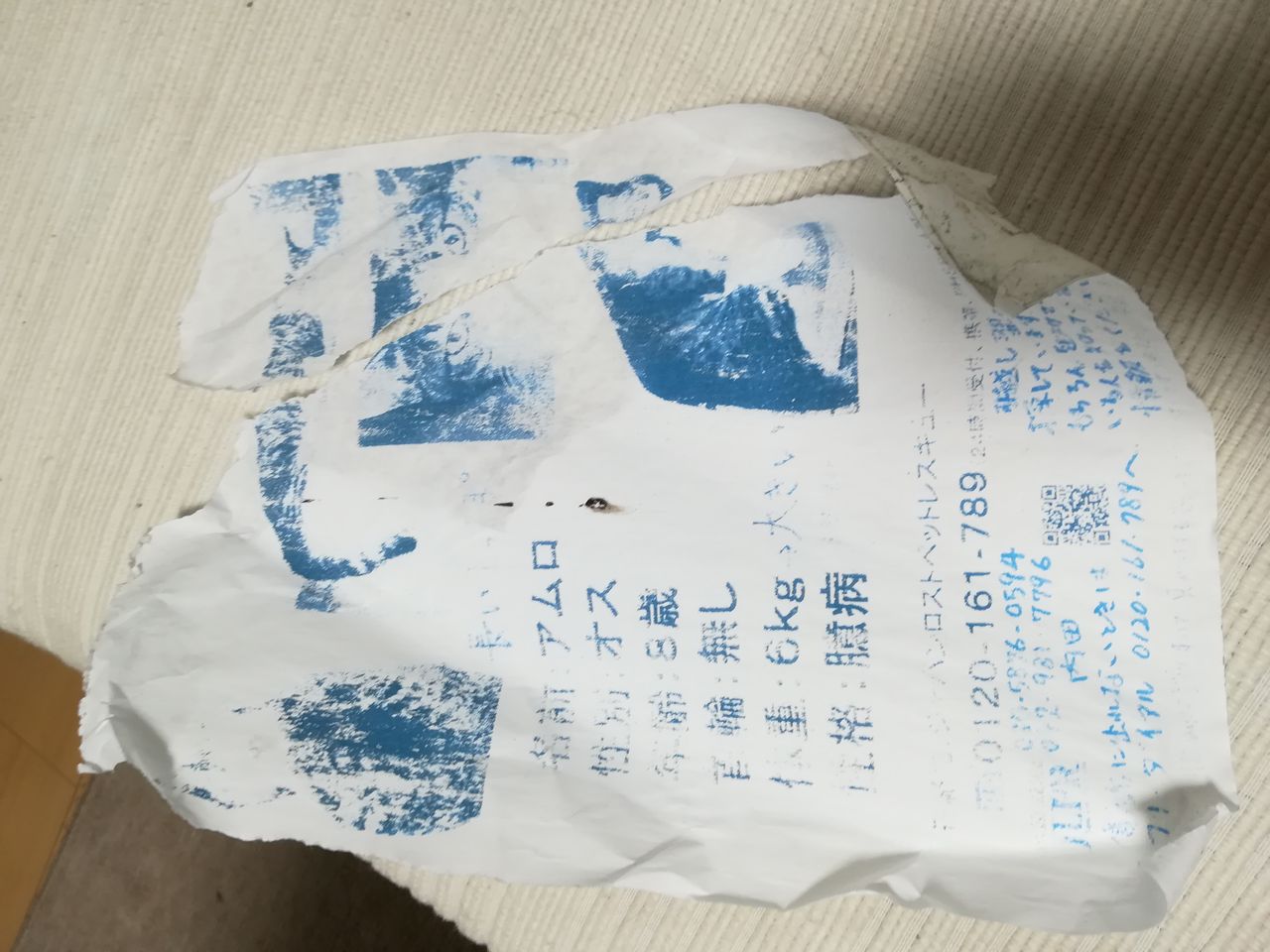 色褪せたポスター 迷子猫見つけたい 隊 アムロ捜索