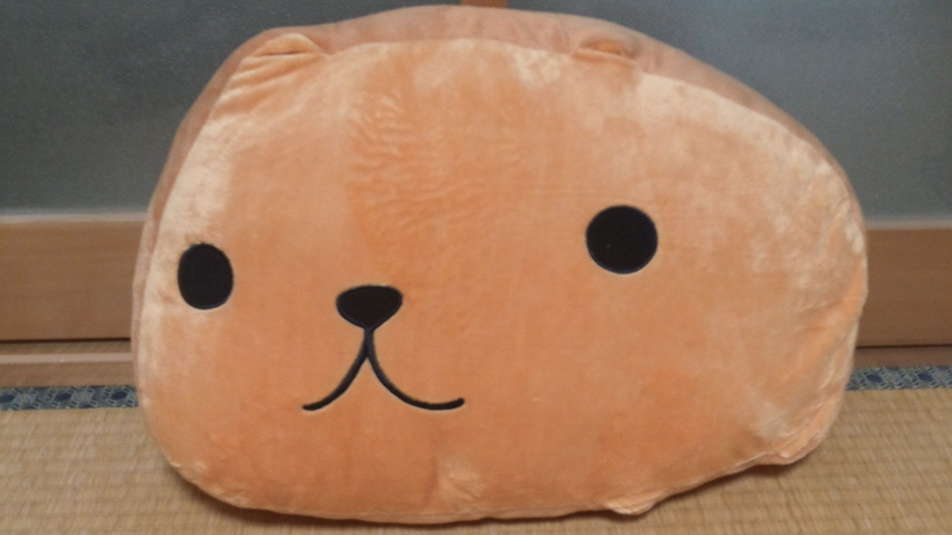 カピバラさん でっかいころりんクッション カピバラさんとホワイトさん 魔法少女まどか マギカ デラックスクリアポスター とか取ってきた まったり 日記 2nd カピバラさん でっかいころりんクッション カピバラさんとホワイトさん 魔法少女まどか マギカ デラックスクリアポスター とか取ってきた まったり 日記 2nd