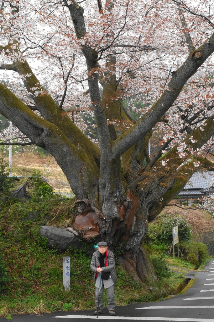 ���ܤ����г䣳