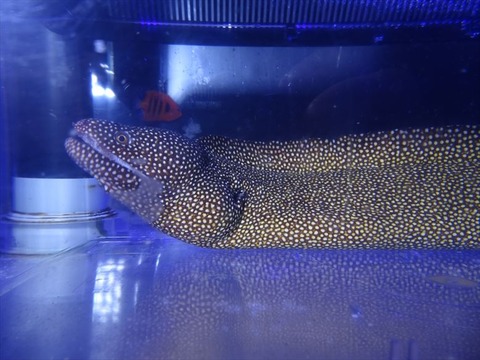 DSC03973_R