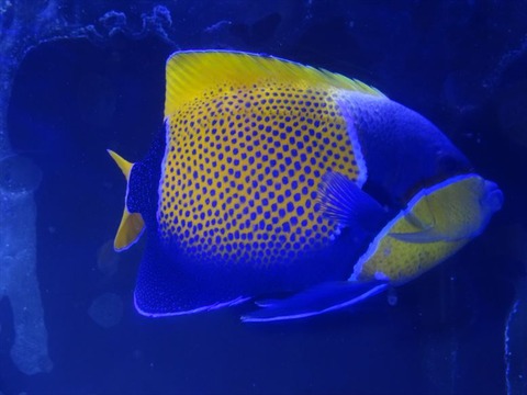 DSC03988_R