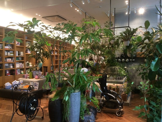 蔦屋家電2F 店内