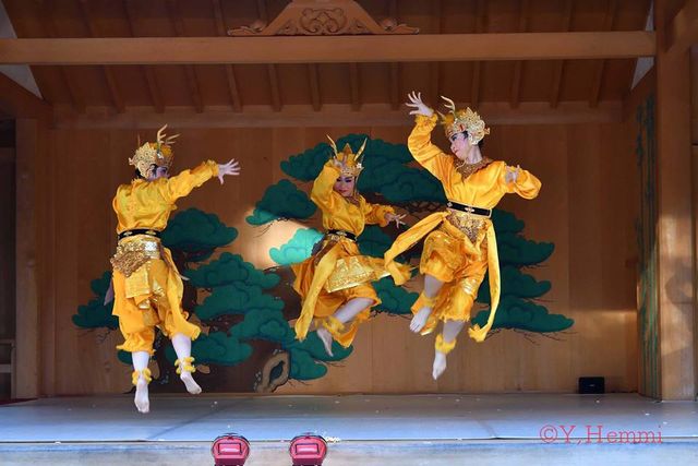 バリ島の芸能 Angklung Kebyar と踊り 国内取り扱い店舗 www