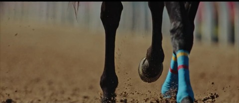 地方競馬ライブ (43)