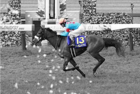 天皇賞(秋)(G1)買い方公開 : 競馬ブログ!!【浅田駿の競馬道】