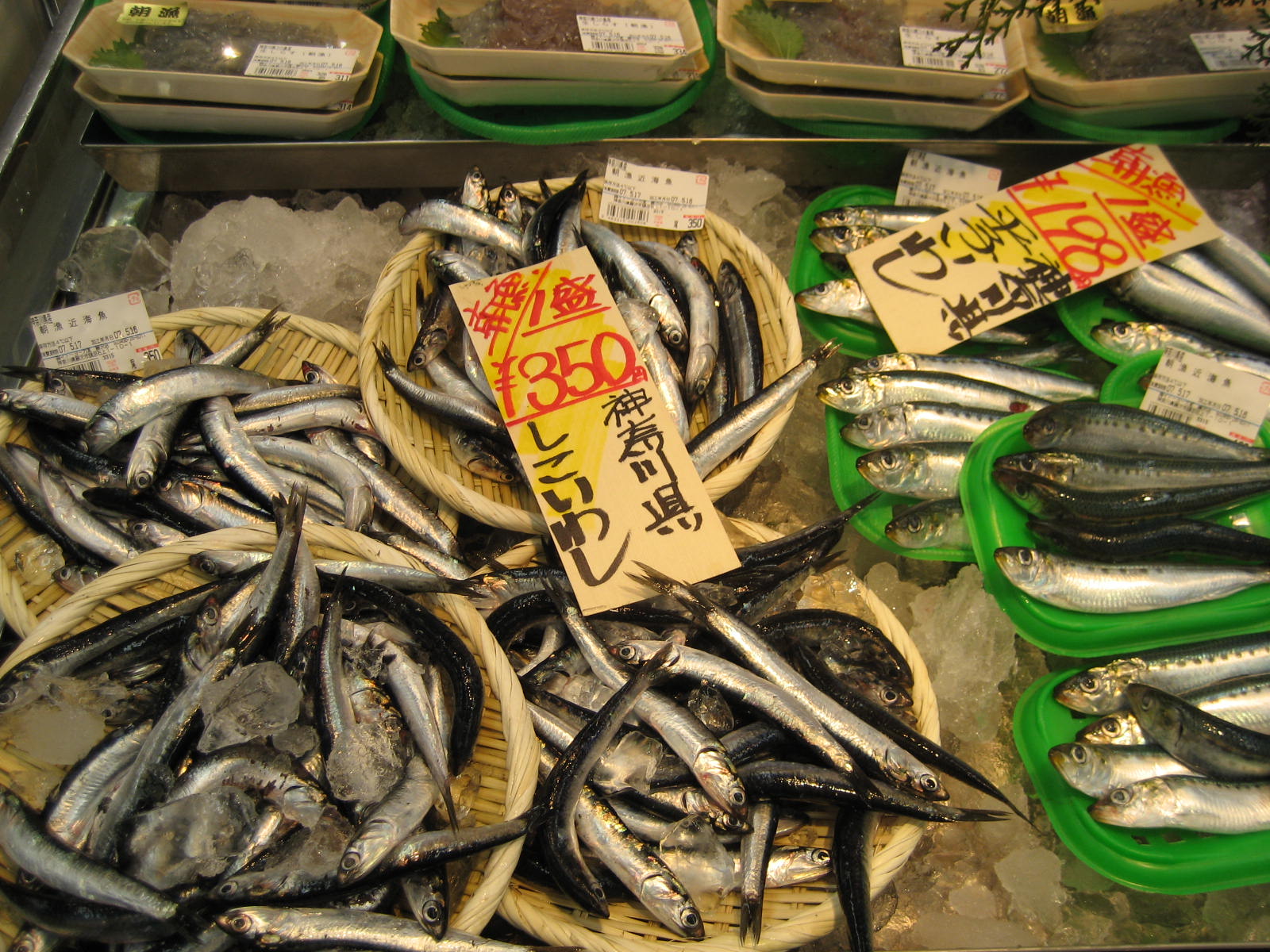 しこいわし 刺身 しこいわし 刺身