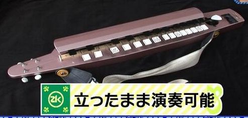 平成琴姫 ショルダー・ストラップの怪 : アサフのblog「お楽しみ楽器」LD