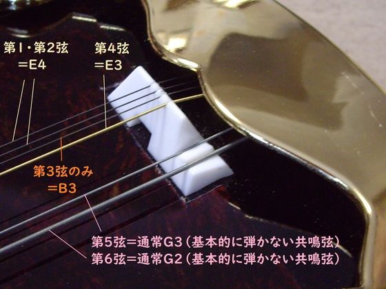 18年08月 アサフのblog お楽しみ楽器 Ld 18年08月 アサフのblog お楽しみ楽器 Ld