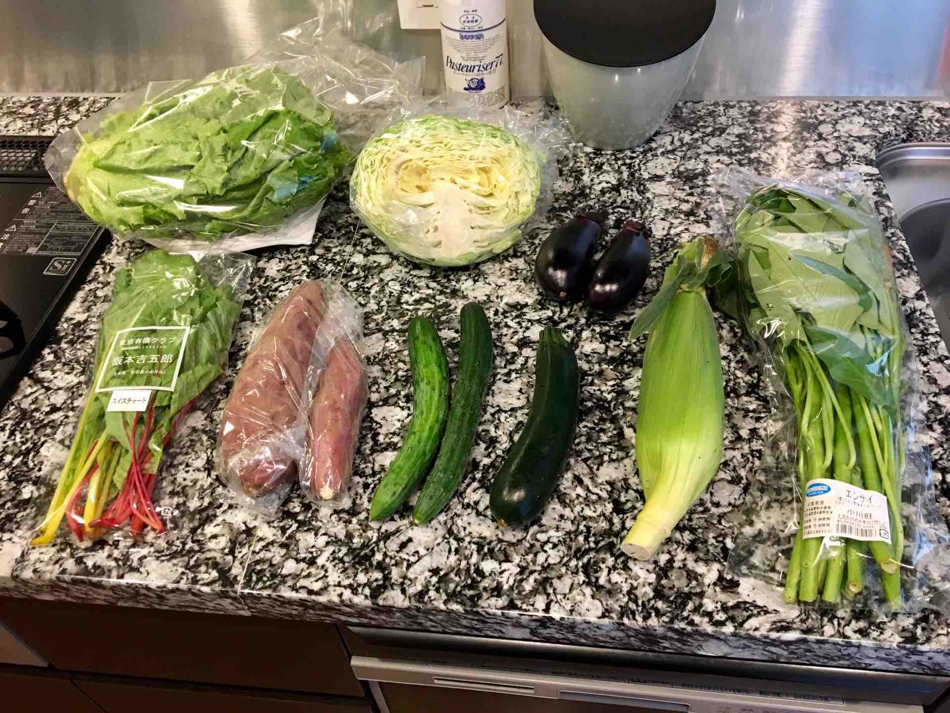 大地宅配 ベジタm 9 ｐｅａｃｅでいこう