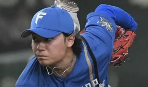 スクリーンショット 2023-06-03 18.43.48