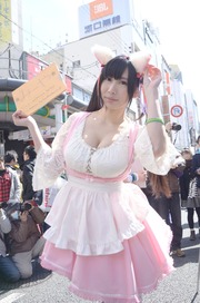20140320-stfes2014-cos_325