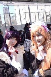 20140320-stfes2014-cos_340