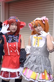 20140320-stfes2014-cos_302