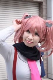 20140320-stfes2014-cos_317