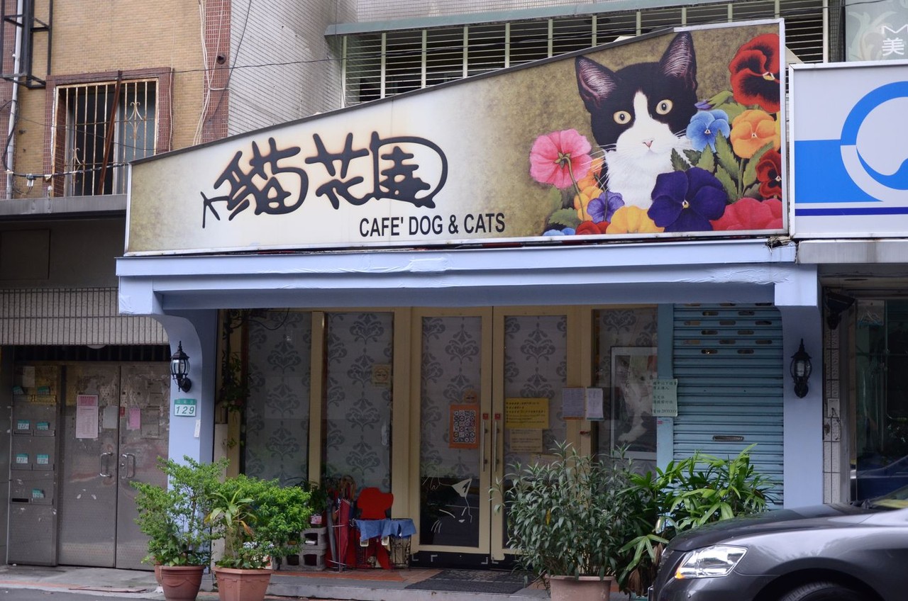 猫カフェの起源は台湾だった 世界初の猫カフェ 猫花園 アサガヲblog