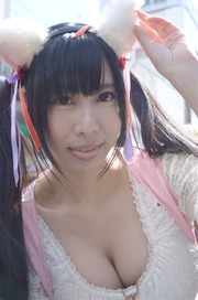 20140320-stfes2014-cos_327