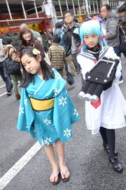 20140320-stfes2014-cos_211