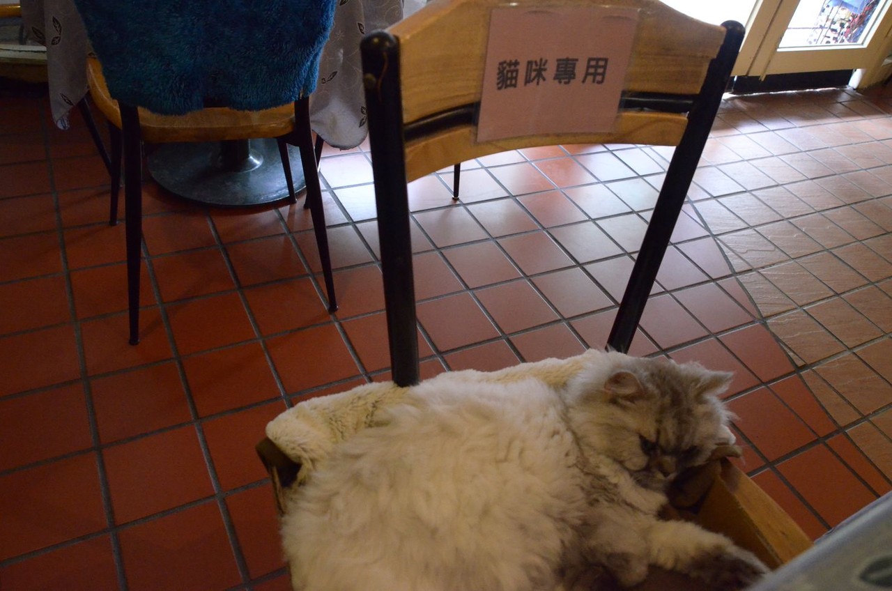 猫カフェの起源は台湾だった 世界初の猫カフェ 猫花園 アサガヲblog
