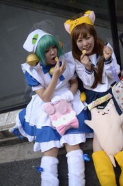 20130325-stfes2013_232