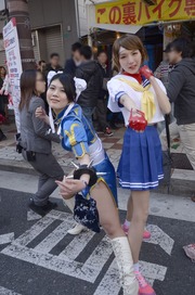 20140320-stfes2014-cos_341