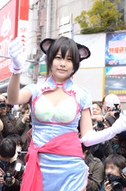 20140320-stfes2014-cos_250