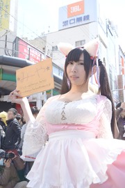 20140320-stfes2014-cos_326