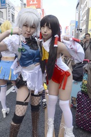 20140320-stfes2014-cos_281