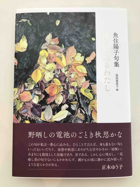 句集》魚住陽子 ［鳥居真里子編］「野晒しの電池のごとき秋思