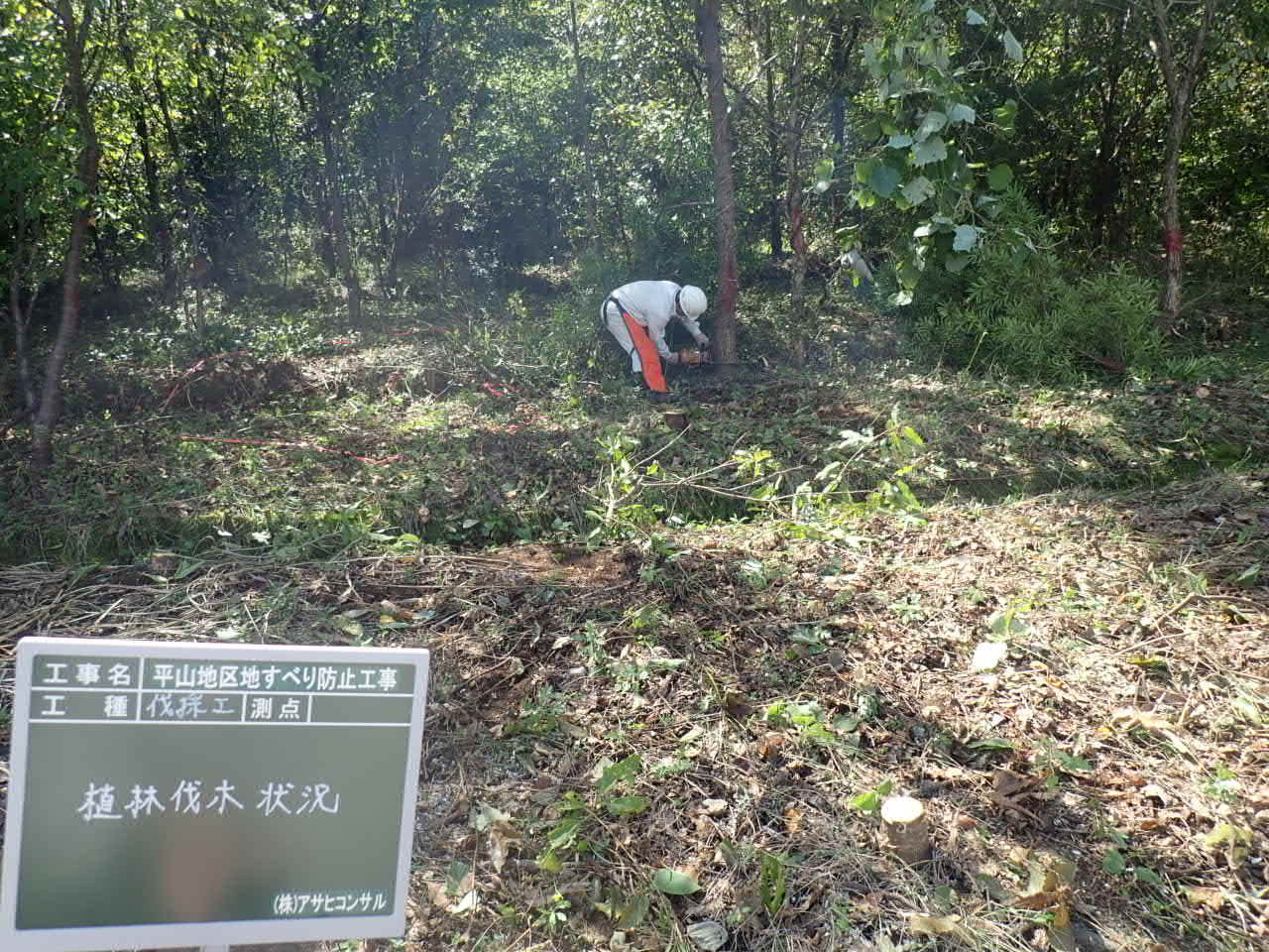 木を伐りました 平山地区地すべり防止工事 木を伐りました 平山地区地すべり防止工事
