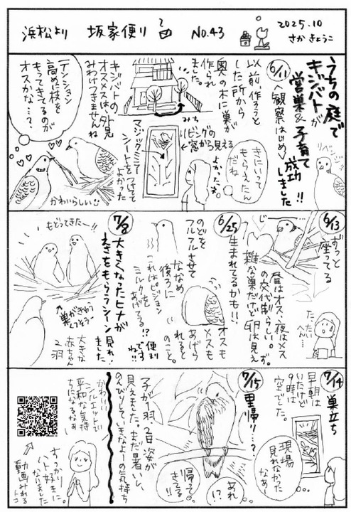 b251017やませみ165-07